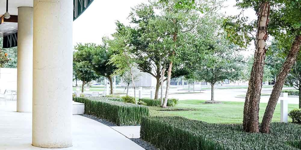 Mont Belvieu, TX Commercial Landscaping Companies